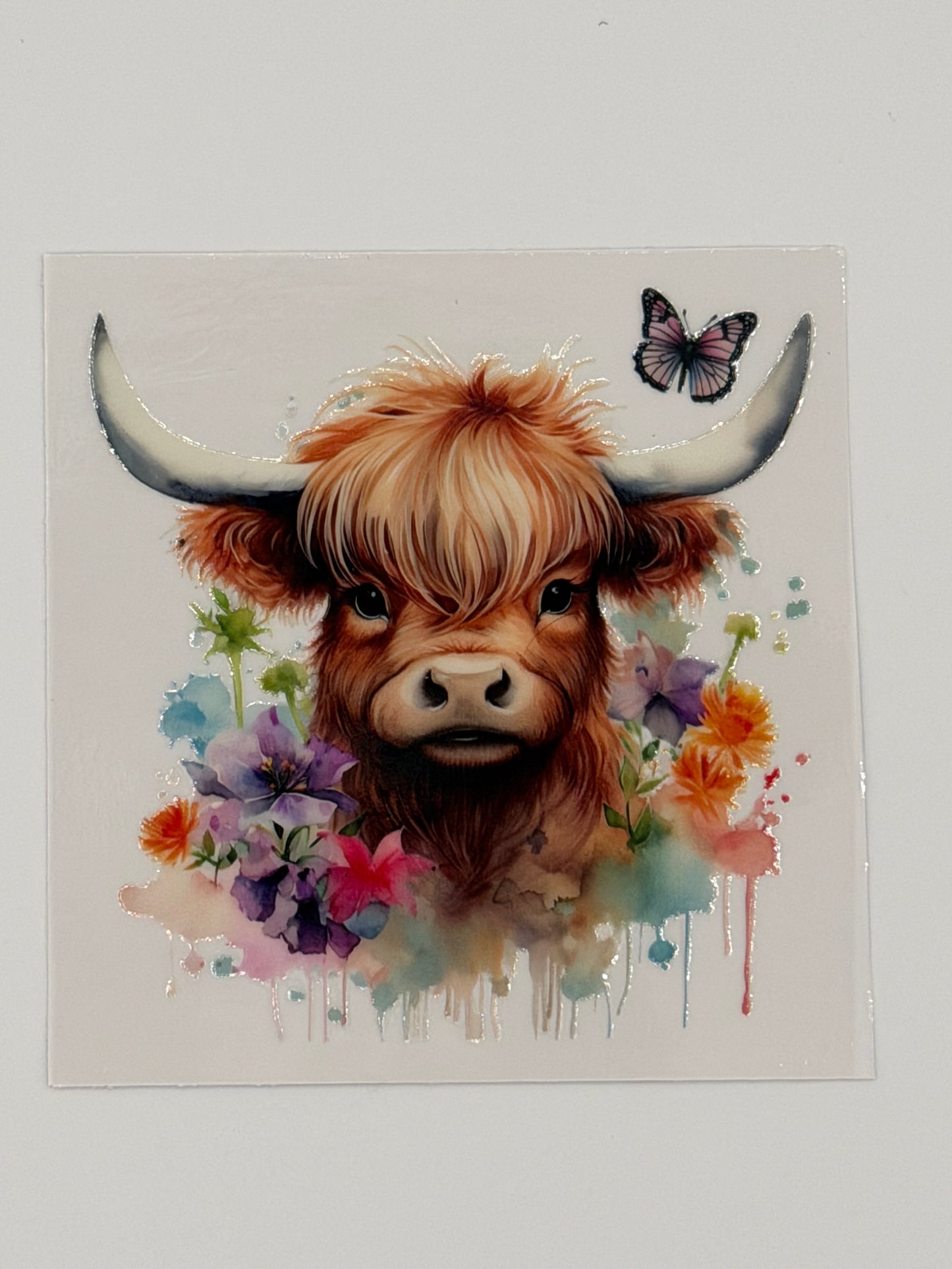 Highland Cow Decals