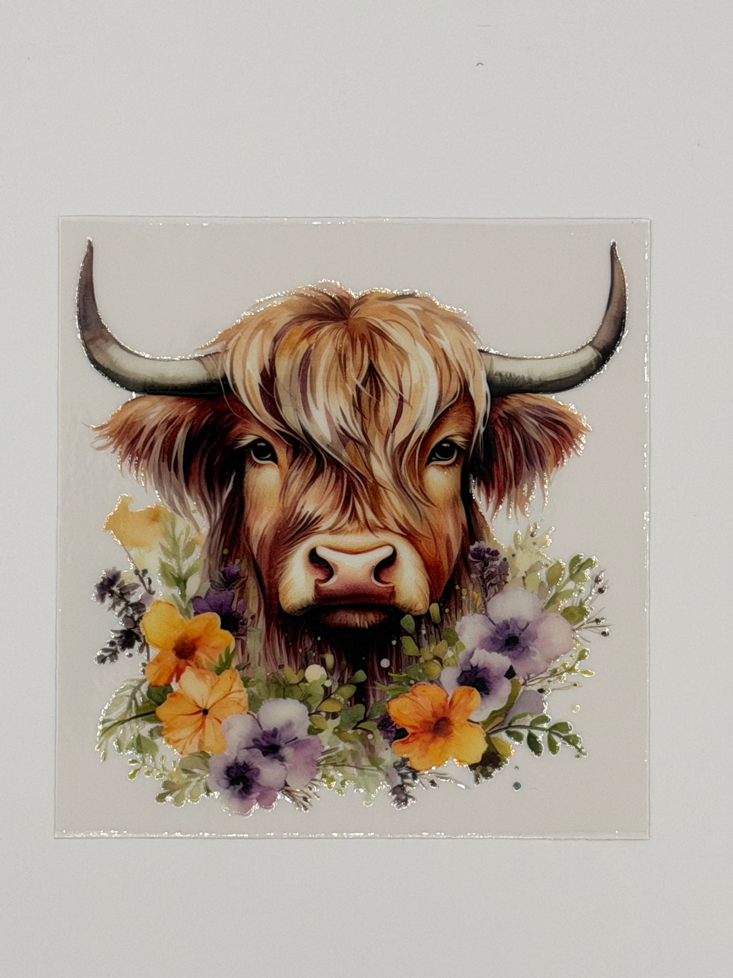 Highland Cow Decals