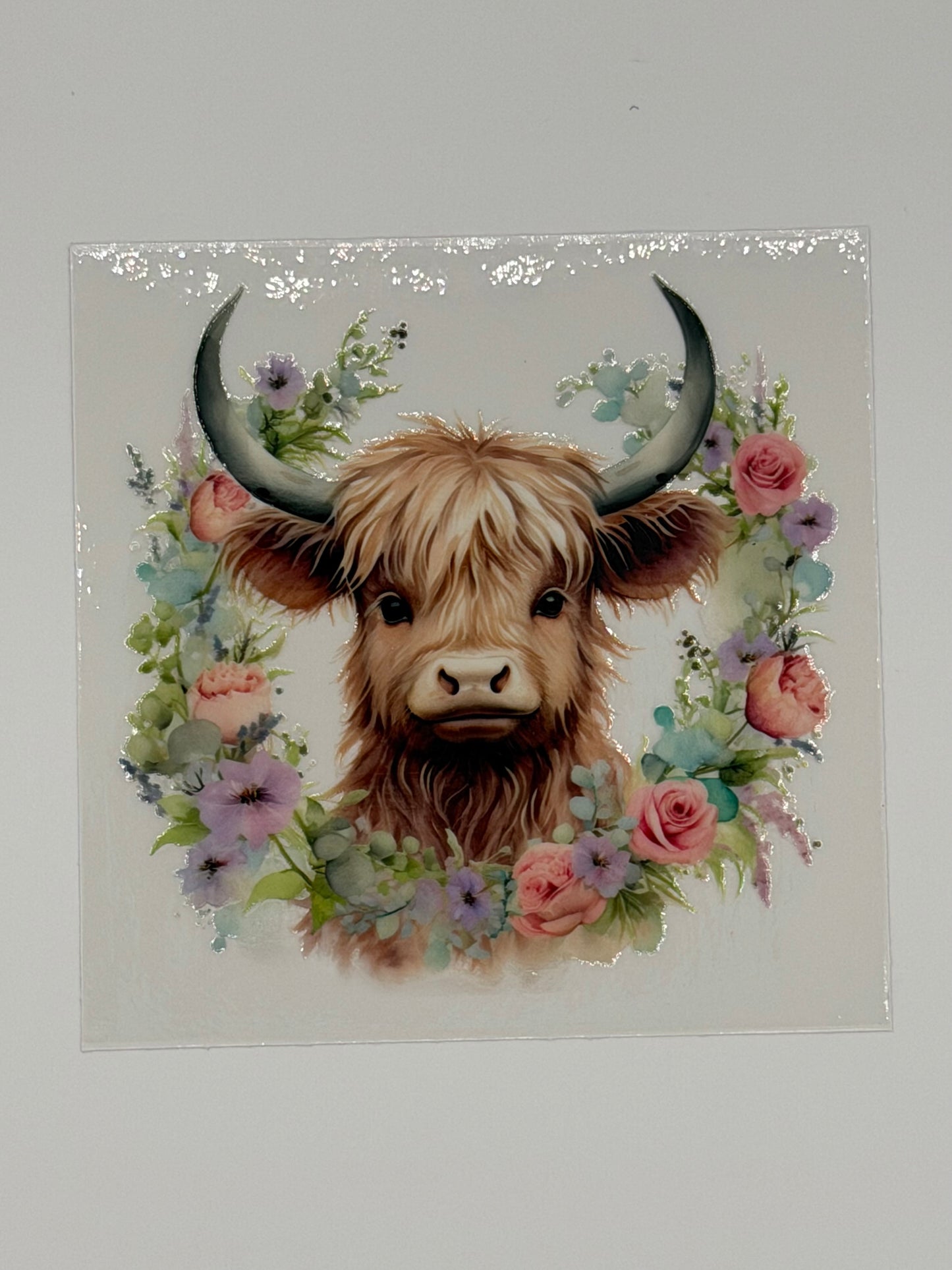 Highland Cow Decals